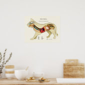 Cat Internal Organ Anatoman Veterinary Chart Poster (Keuken)