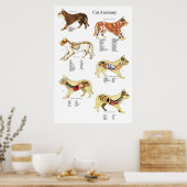 Cat Internal Organ Anatoman Veterinary Chart Poster (Keuken)
