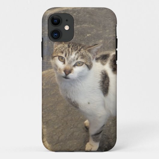 Cat iPhone 5 hoesje-partner Case-Mate iPhone Case (Achterkant)