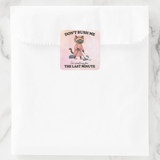 Cat is cleaning house vierkante sticker (Tas)