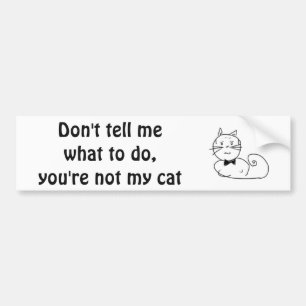 Cat is mijn baas bumpersticker