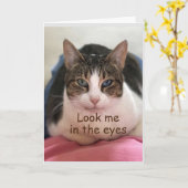 CAT IS NIET TE GELOVEN DAT JE *30" BENT. KAART (Gele Bloem)