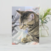 Cat Jigzaag Puzzle Briefkaart (Staand voorkant)