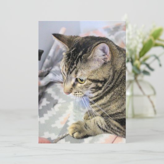Cat Jigzaag Puzzle Briefkaart (Staand voorkant)