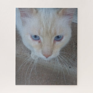 Cat Jigzaag Puzzle Legpuzzel