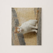 Cat Jigzaag Puzzle Legpuzzel (Verticaal)