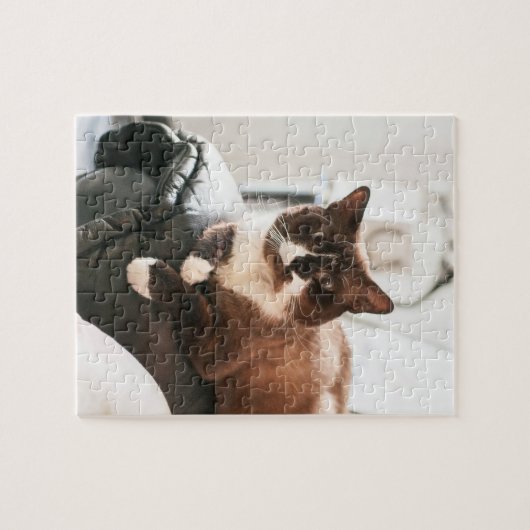 Cat Jigzaag Puzzle Legpuzzel (Horizontaal)