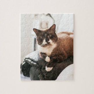 Cat Jigzaag Puzzle Legpuzzel