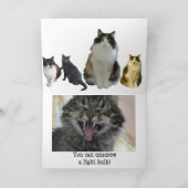 Cat Jokes Light Bulb over het zwangere Vriendin Kaart (Binnen)