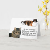 Cat Jokes Light Bulb over het zwangere Vriendin Kaart (Gele Bloem)