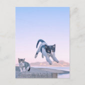 cat jump postcard briefkaart (Voorkant)