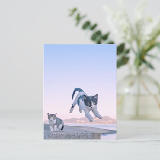 cat jump postcard briefkaart (Staand voorkant)