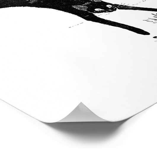 Cat Jumping in de Pond, Alexandre Steinlen Poster (Hoek)