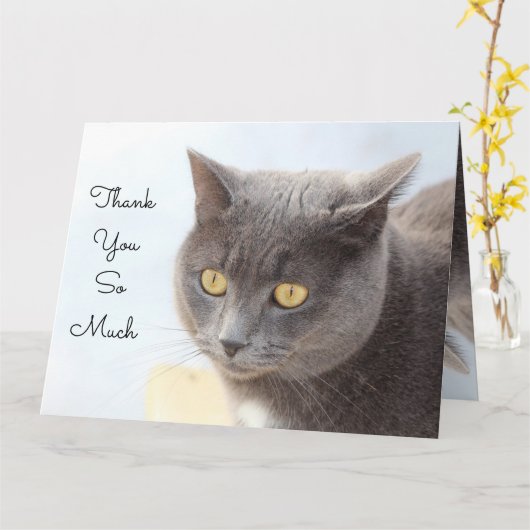 Cat Kaart heel erg bedankt (Gele Bloem)