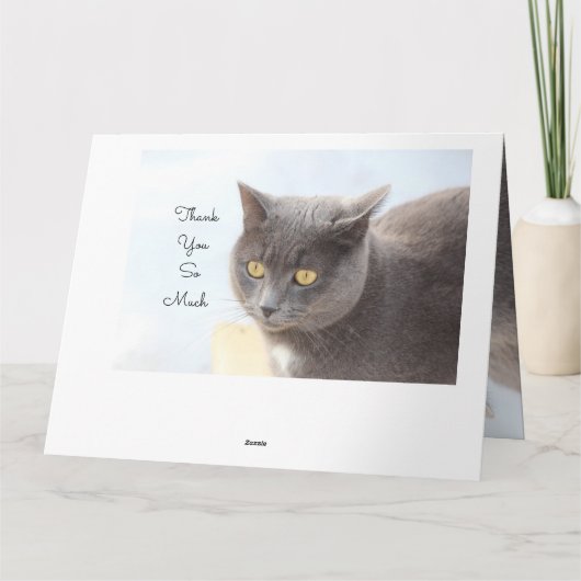 Cat Kaart heel erg bedankt (Achterkant)