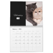 CAT Kalender 2024 - Moderne Cut Kalender (Feb 2026)