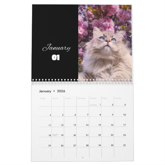 CAT Kalender 2024 - Moderne Cut Kalender (Jan 2026)