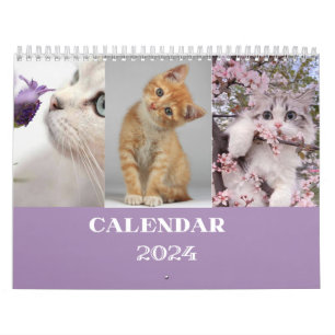 CAT Kalender 2024 - Moderne Cut Kalender
