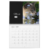 CAT Kalender 2024 - Moderne Cut Kalender (Mar 2027)