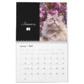 CAT Kalender 2024 - Moderne Cut Kalender (Jan 2027)