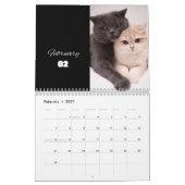 CAT Kalender 2024 - Moderne Cut Kalender (Feb 2027)