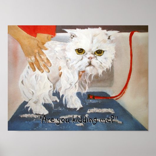 Cat Kat Vet Pet Cat Bath Humor Funny Poster (Voorkant)