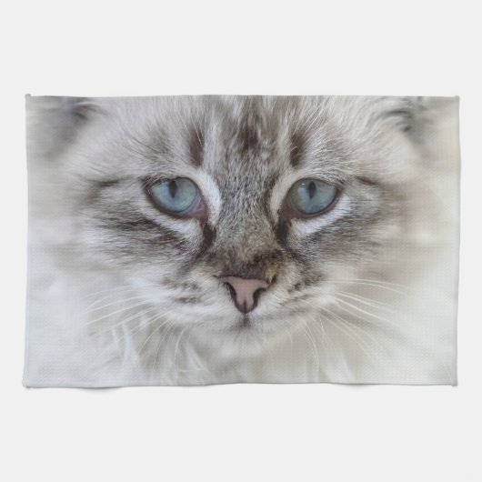 Cat Kitchen Towels Theedoek (Horizontaal)
