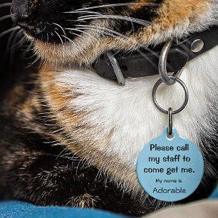 Cat, Kitten als verloren label, Kleine .88 Pet ID Huisdierpenning
