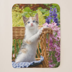 Cat Kitten (Cat Cat Kitten) met een luiend Baby - Sherpa Deken