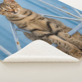 Cat Kitten, Cat Kitten, die in een blauw omheining Sherpa Deken (3/4)