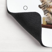 Cat Kitten Condo Cat Adoption Muismat! Muismat (Hoek)