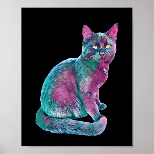 Cat Kitten Cute Fur Nose Funny Animals Poster (Voorkant)
