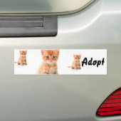 Cat Kitten Dog keurt Bumpersticker goed (Op auto)