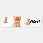 Cat Kitten Dog keurt Bumpersticker goed (Voorkant)