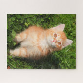 Cat Kitten, een Sinaasappel tablet met fluffy Legpuzzel (Horizontaal)