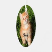 Cat Kitten, een Sinaasappel tablet met fluffy Metalen Ornament (Voorkant links)