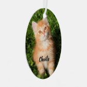 Cat Kitten, een Sinaasappel tablet met fluffy Metalen Ornament (Voorkant Rechts)