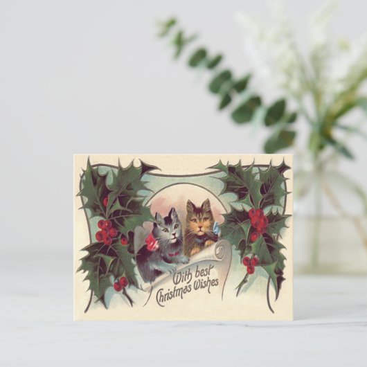 Cat Kitten Holly Briefkaart (Staand voorkant)