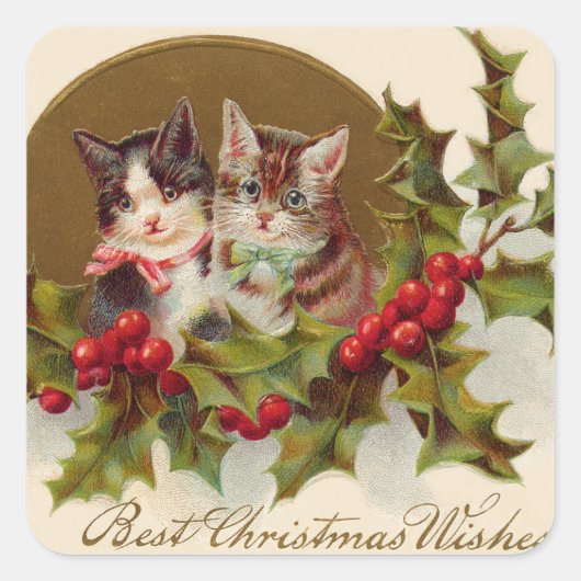 Cat Kitten Holly Winterberry Vierkante Sticker (Voorkant)