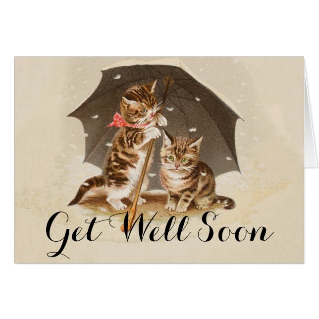 Cat Kitten kat antiek vintage  schattig (Voorkant Horizontaal)