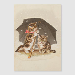 Cat Kitten kat antiek vintage  schattig