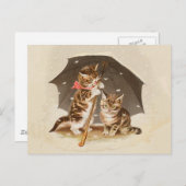 Cat Kitten kat antiek vintage  schattig Briefkaart (Voorkant / Achterkant)