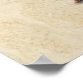 Cat Kitten kat antiek vintage  schattig Poster (Hoek)