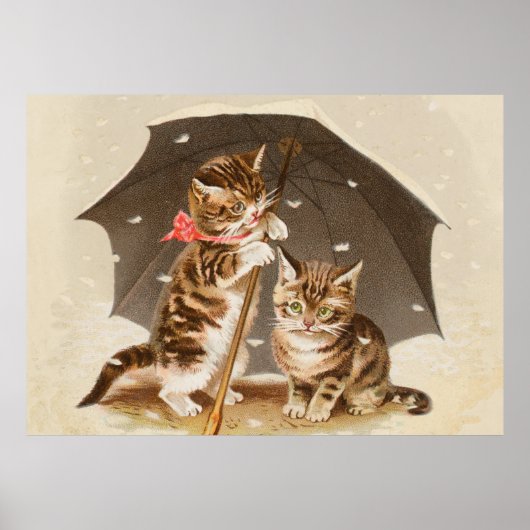 Cat Kitten kat antiek vintage  schattig Poster (Voorkant)