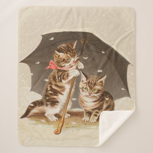 Cat Kitten kat antiek vintage  schattig Sherpa Deken (Voorkant)