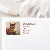 Cat Kitten Kat Pet Etiket (Insitu)