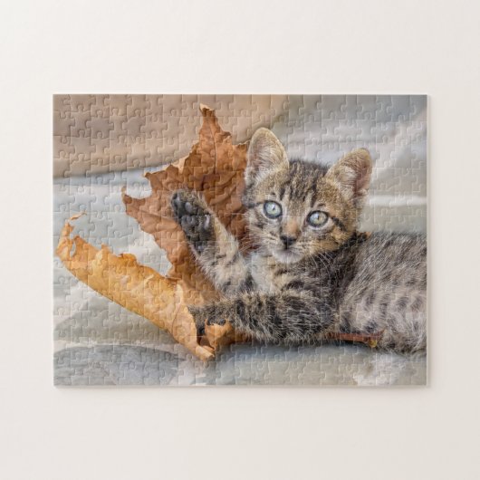Cat Kitten met een lul in een cute tabby - Legpuzzel (Horizontaal)