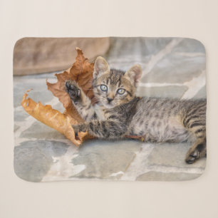 Cat Kitten met een lul in een cute tabby - Sherpa Deken