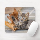 Cat Kitten met een lul Muismat (Met muis)