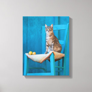 Cat Kitten op een blauwe stoel Foto van Cute Tabby Canvas Afdruk